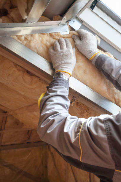 Best Insulation Replacement Services  in Catlin, IL