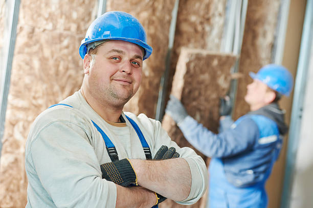 Best Crawl Space Insulation  in Catlin, IL